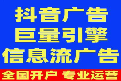 谷歌竞价广告的实时监控与调整策略——某公司经验分享
